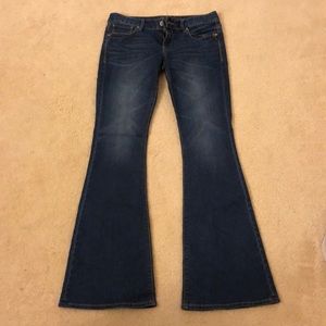 Express brand flare leg jeans